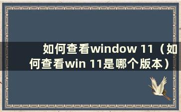 如何查看window 11（如何查看win 11是哪个版本）